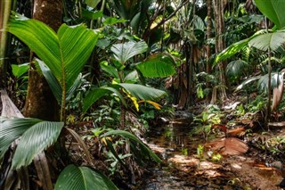 Seychelles időjárás-jelentés