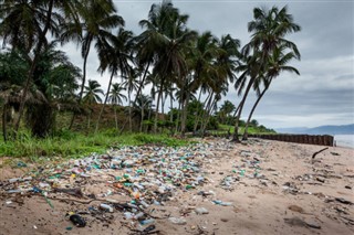 Sierra Leone hava tahmini