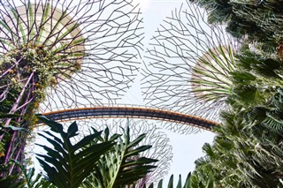 Singapur hava tahmini
