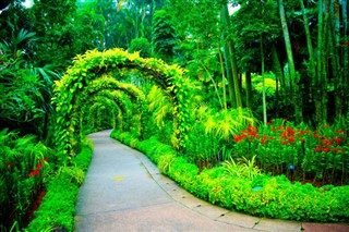 Singapur hava tahmini