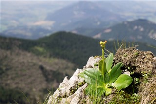 Slovakya hava tahmini