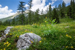 Slovenien vejrudsigt