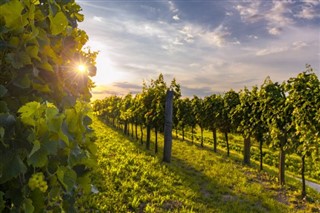 Slovenya hava tahmini
