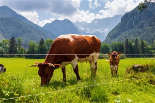 Slovenija vremenska prognoza