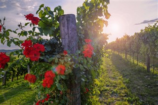 Slovenia weather forecast