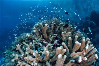 Les îles Salomon prévisions météorologiques