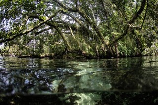 Les îles Salomon prévisions météorologiques