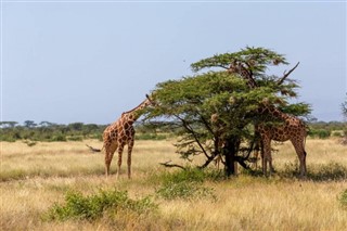 Somali hava tahmini