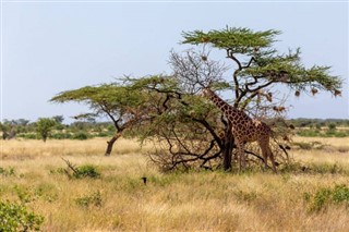 Somali hava tahmini