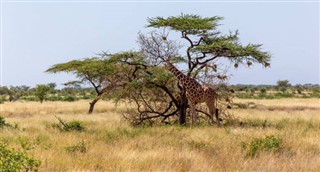 Somali Hava tahmini