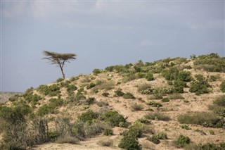 Somali Hava tahmini