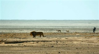 Somali hava tahmini