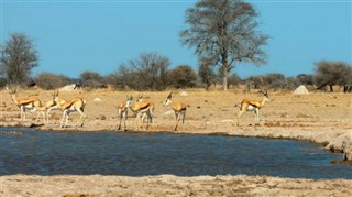 Somali Hava tahmini