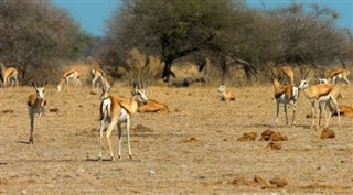 Somali hava tahmini