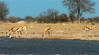 Somali hava tahmini