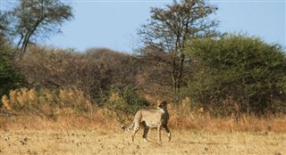 Somali hava tahmini