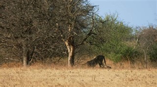 Somali hava tahmini