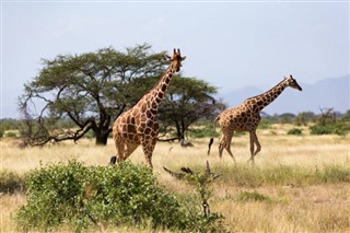 Somalia vejrudsigt