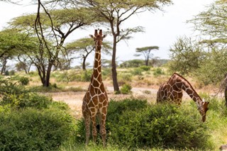 Somalia vejrudsigt