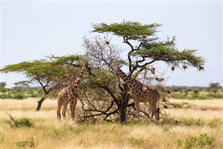 Somali hava tahmini