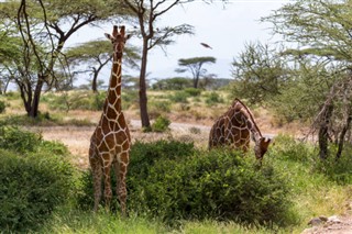 Somalia vejrudsigt
