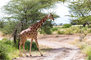 Somalia vejrudsigt