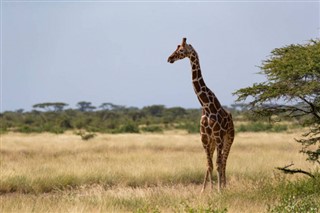 Somalia vejrudsigt