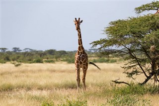 Somali hava tahmini