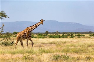 Somali hava tahmini