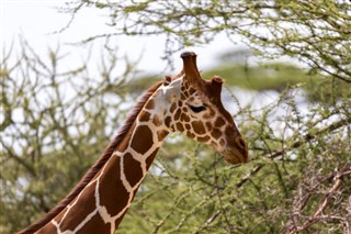 Somalia vejrudsigt