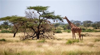Somalia vejrudsigt