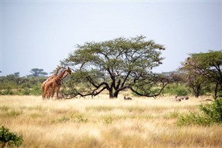 Somalia vejrudsigt