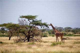 Somali hava tahmini