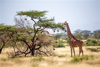 Somali hava tahmini