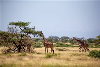 Somali hava tahmini
