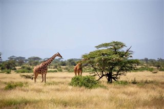 Somali hava tahmini