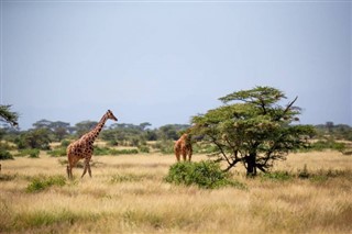 Somalie prévisions météorologiques