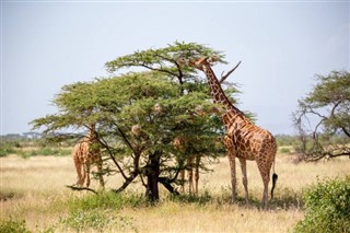 Somali hava tahmini