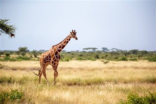 Somali hava tahmini