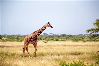 Somalia vejrudsigt