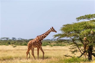 Somalia vejrudsigt