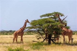 Somalia vejrudsigt