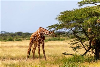 Somali hava tahmini