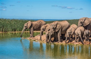Afrique du Sud prévisions météorologiques