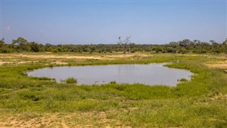 Güney Afrika hava tahmini