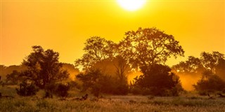 Güney Afrika hava tahmini
