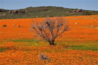 Güney Afrika hava tahmini