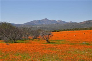 Güney Afrika hava tahmini