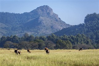 Güney Afrika hava tahmini