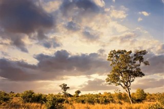Afrique du Sud prévisions météorologiques